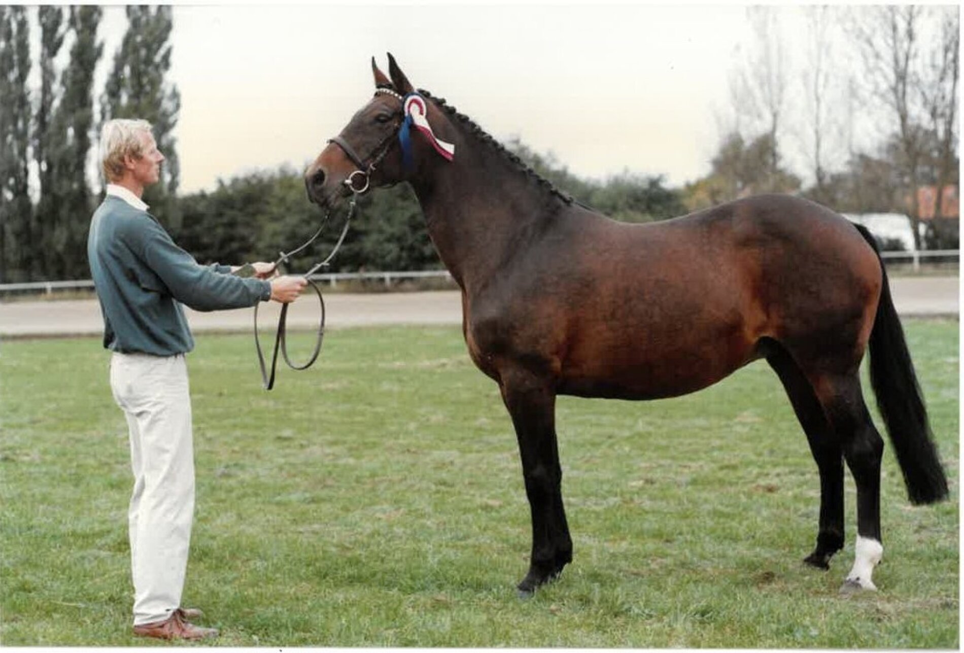Gofine by Ramiro-Ladykiller xx (Dr. Hieronymus Koerner, Wedel)