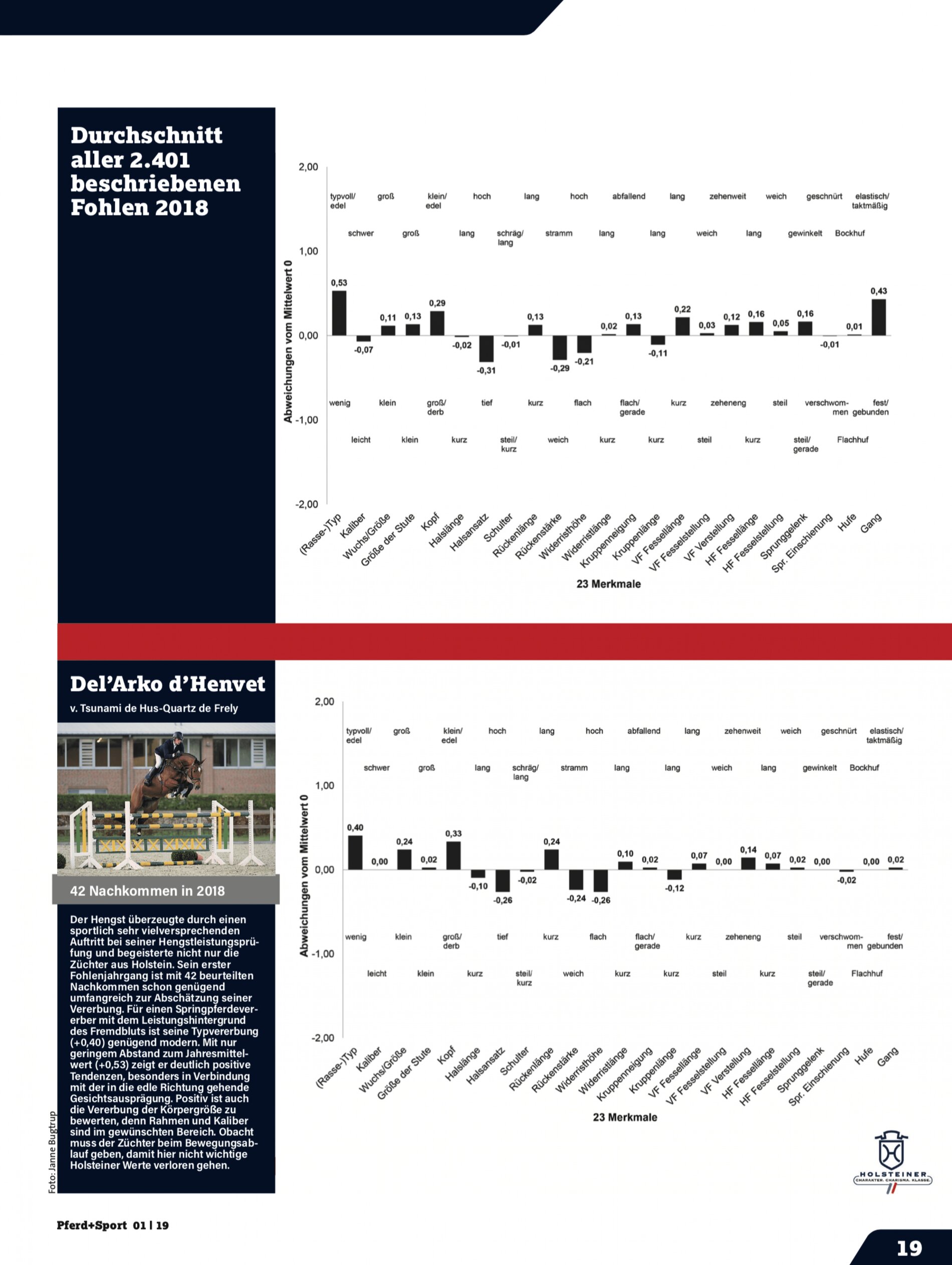Example of a offspring profile created from the linear data of the foals from the magazine Pferd+Sport issue 01|19
