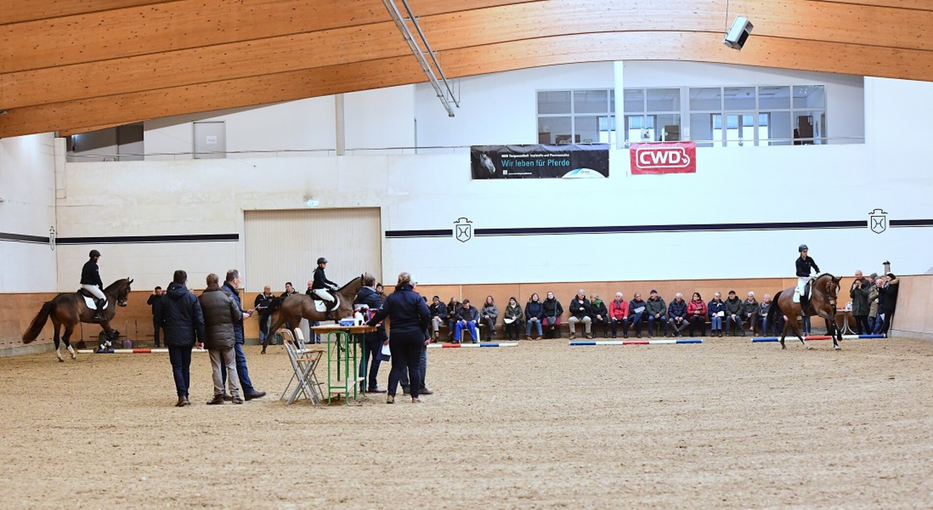 Mare performance test in Elmshorn