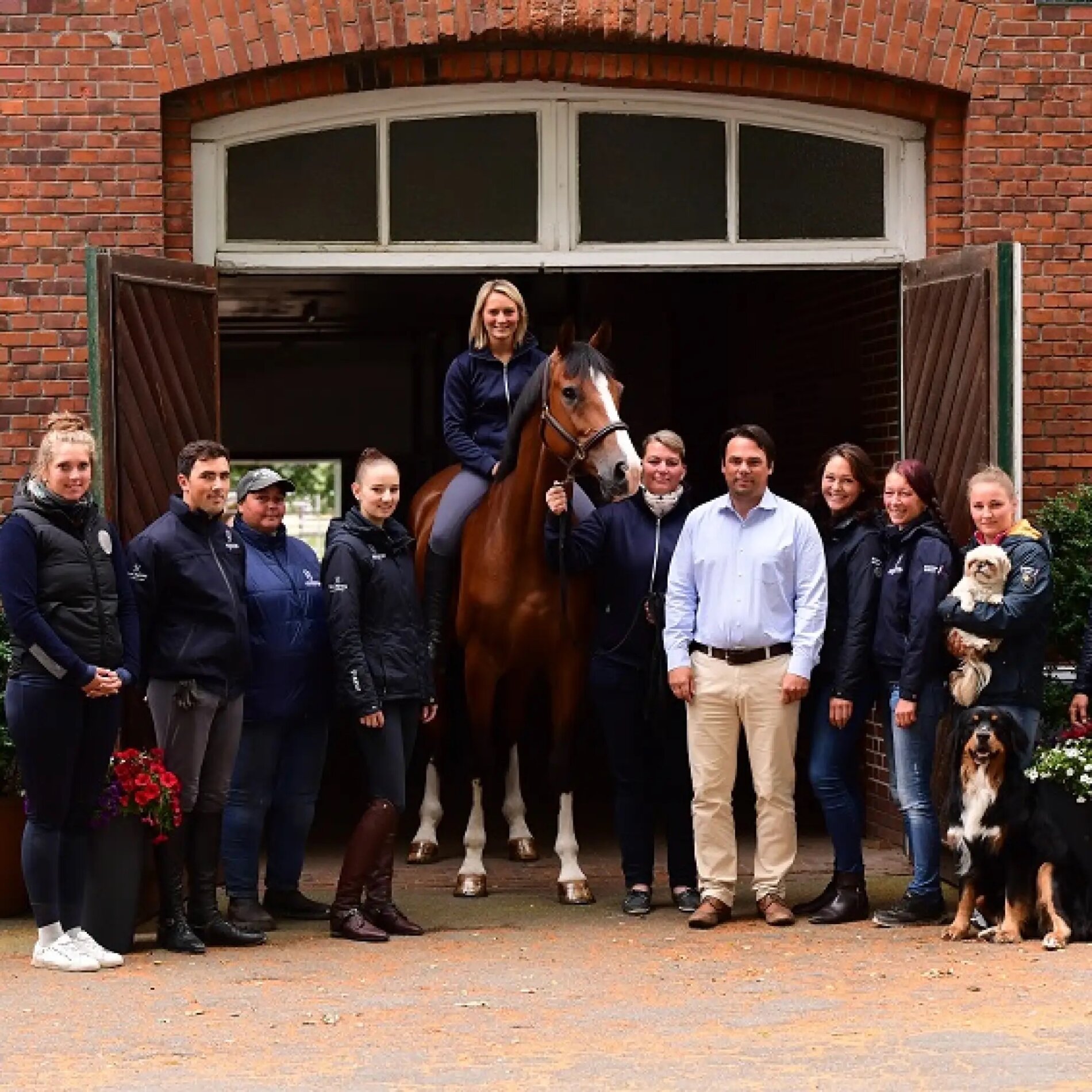 The team of the sales stable