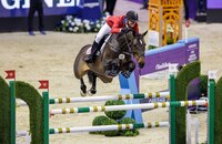 Callas unter McLain Ward (USA) | © Stefan Lafrentz