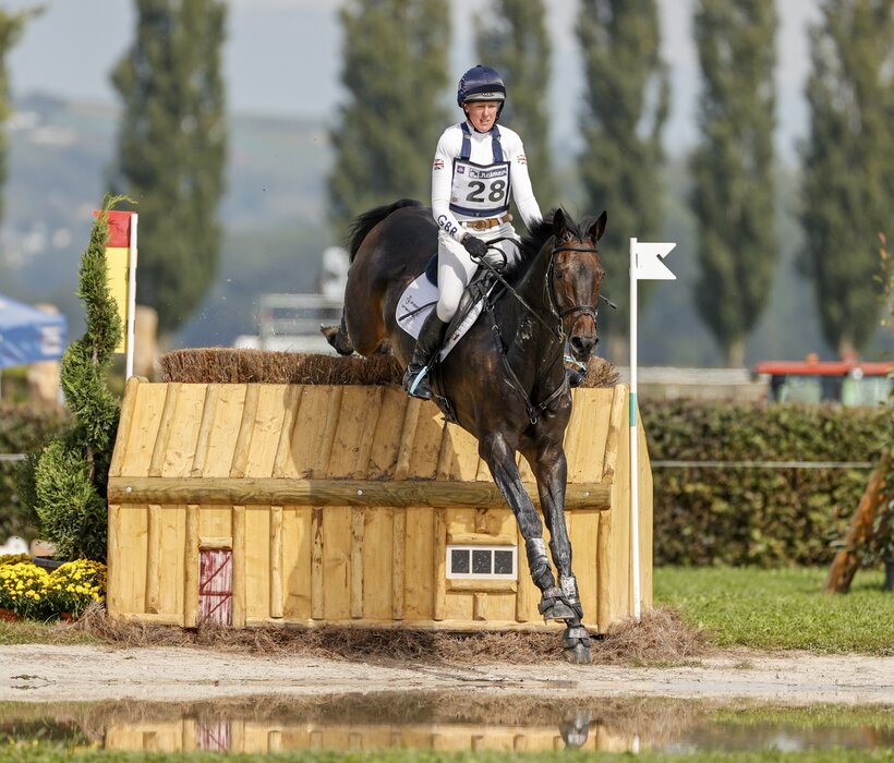 Diarado | Holsteiner-Verband