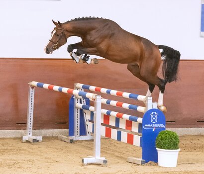Kantato v. Keaton-Casall | © Janne Bugtrup